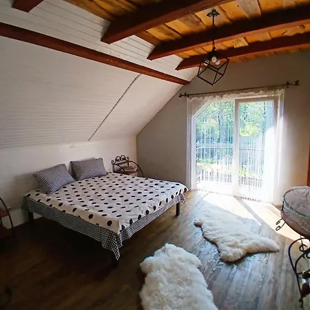 карпатська хата Appartement *
