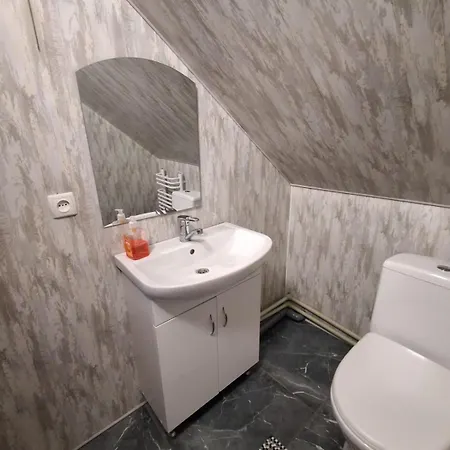 карпатська хата Appartement *